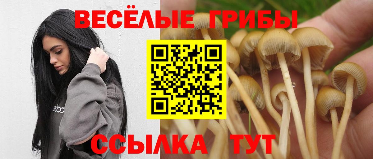 Псилоцибиновые грибы ЛСД Котлас